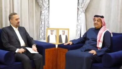 وزير الدفاع الإيراني يلتقي بوزير قطر لشؤون الدفاع