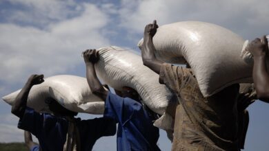 برنامج الأغذية العالمي يحذر من مجاعة متفاقمة في عدة بلدان بسبب ظاهرة "النينيو"